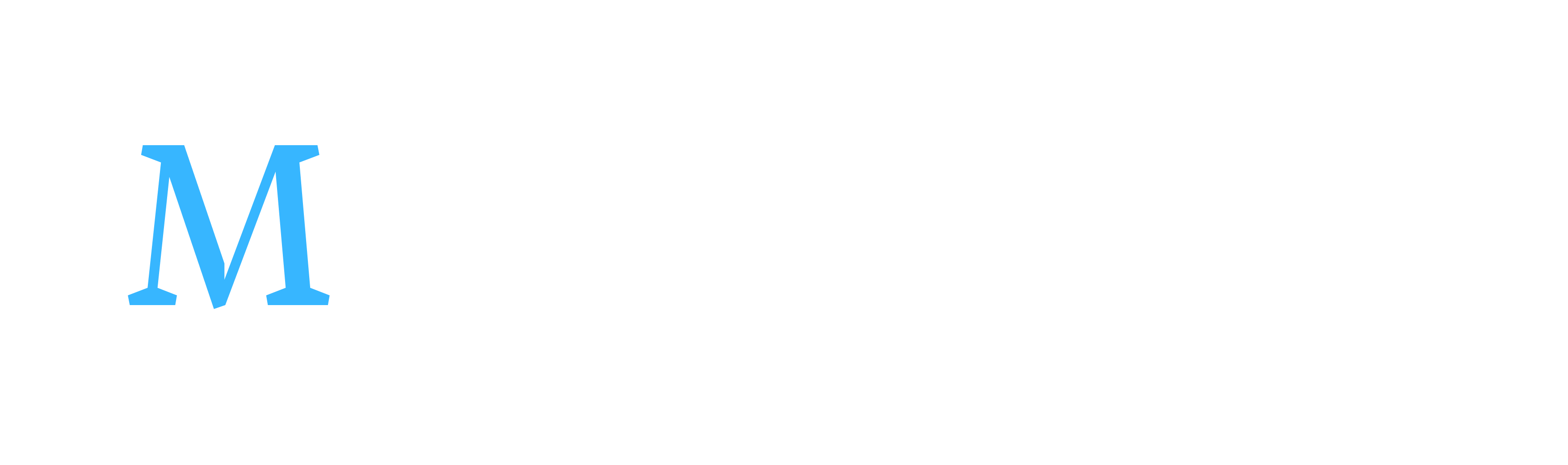 Maas Interieurs